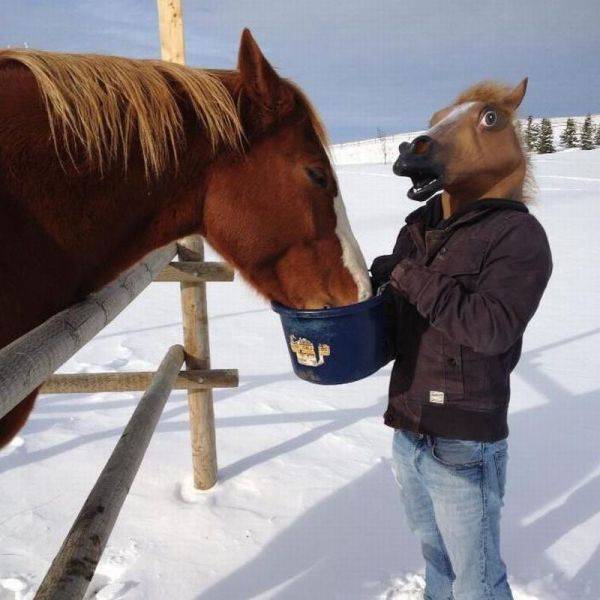 Content Image