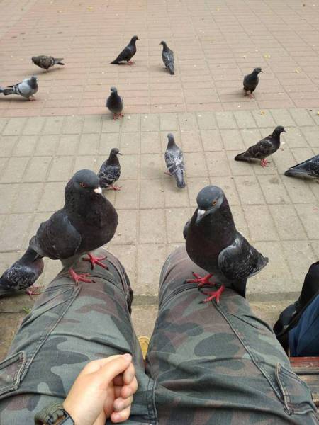 Content Image