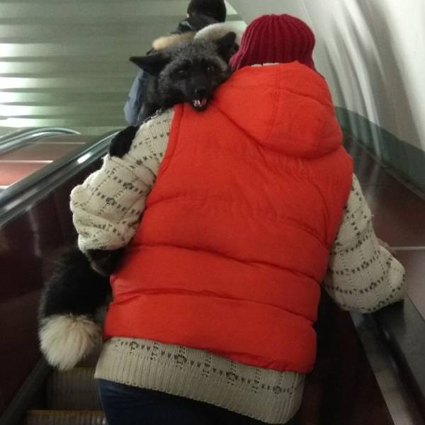 Morning Picdump