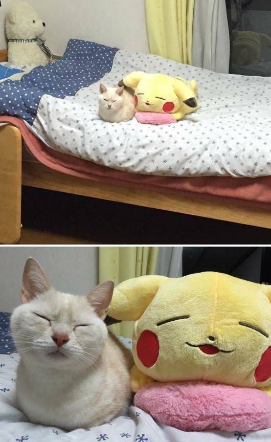 Content Image