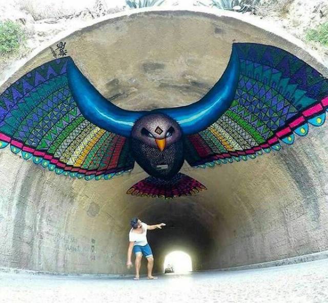 Morning Picdump