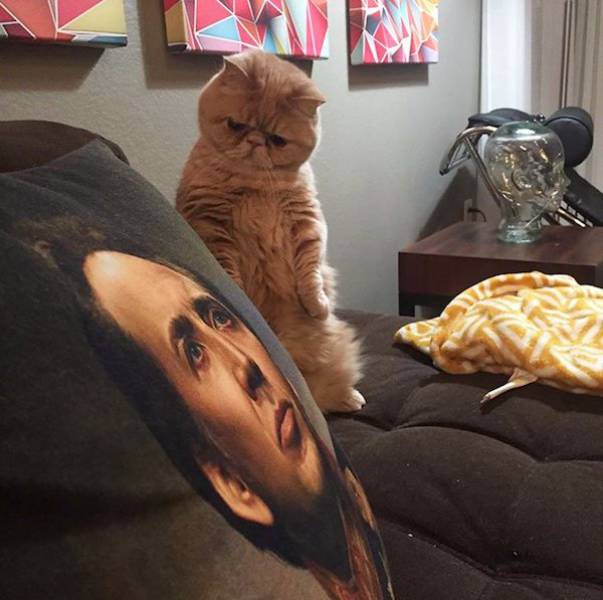 Morning Picdump