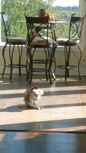 Morning Picdump