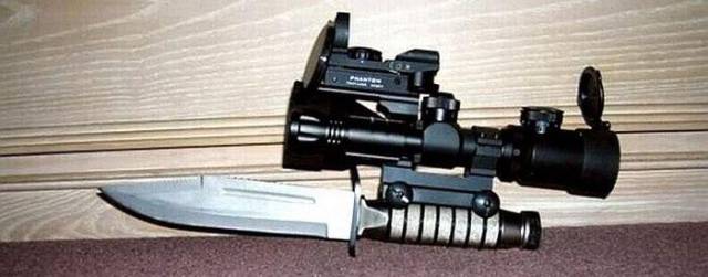 Content Image