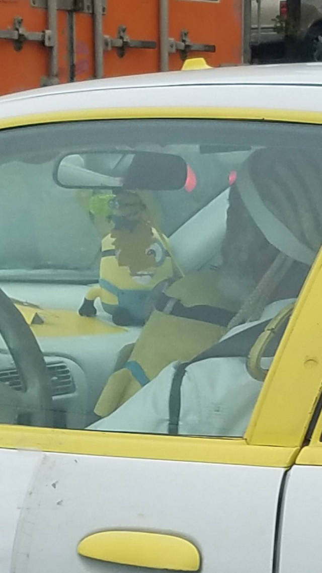 Content Image