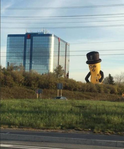 Content Image