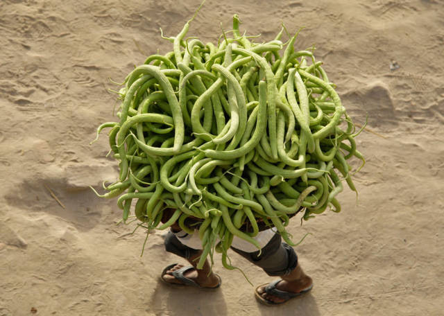Content Image
