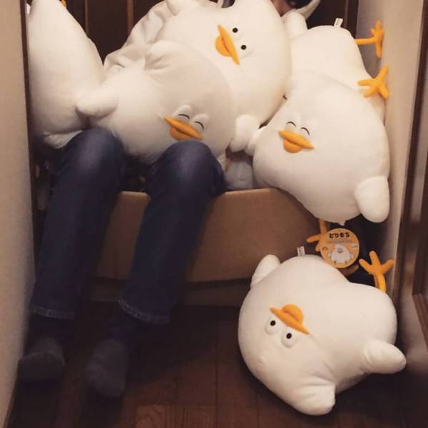 Content Image