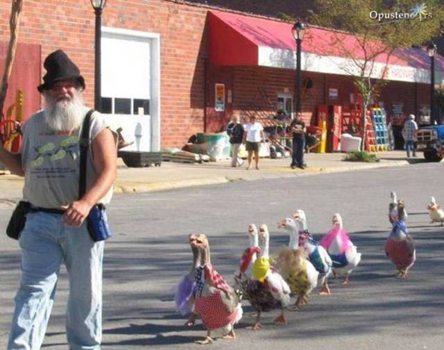 Content Image
