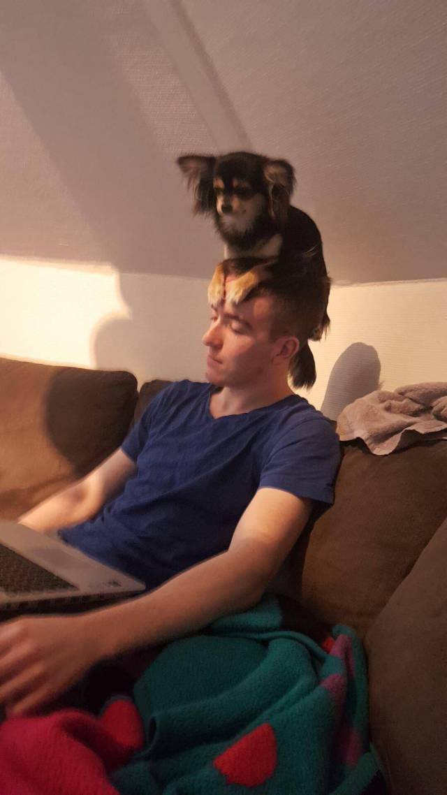 Content Image