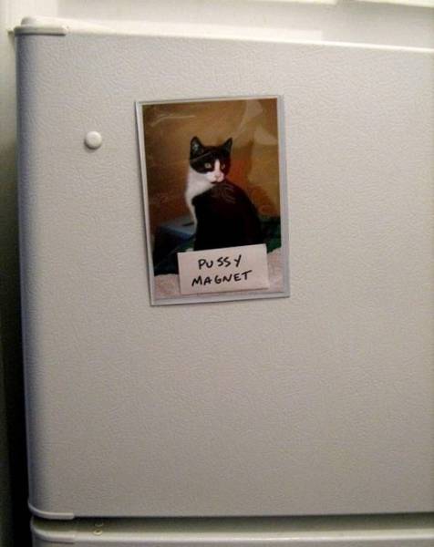 Content Image