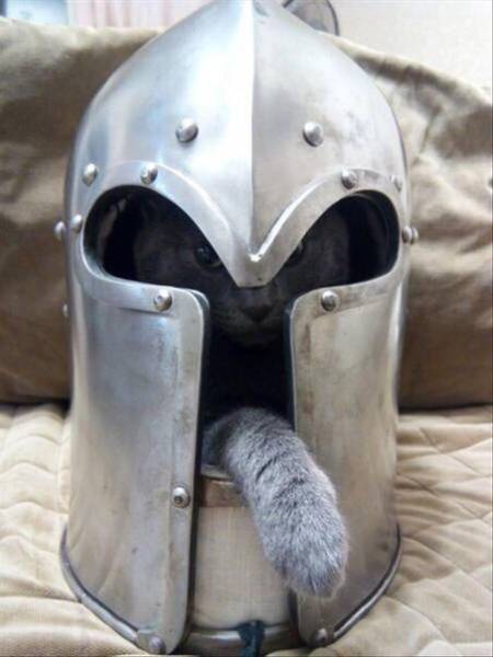 Daily Picdump