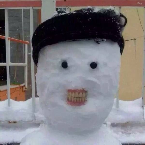Daily Picdump