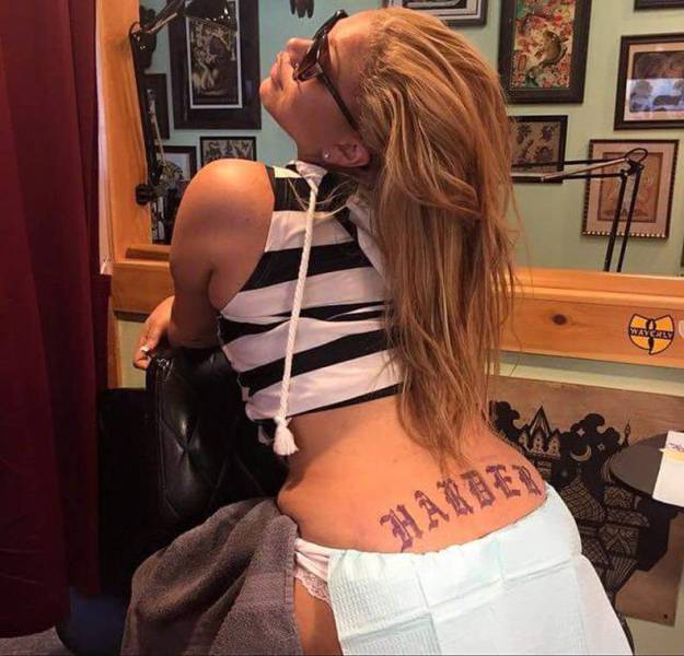Daily Picdump