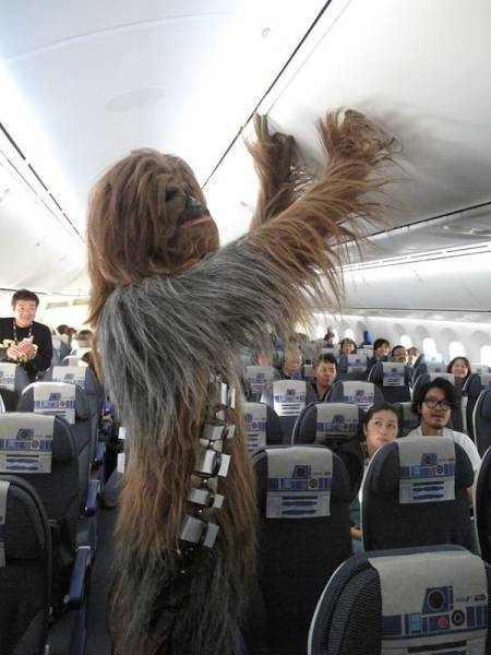 Daily Picdump