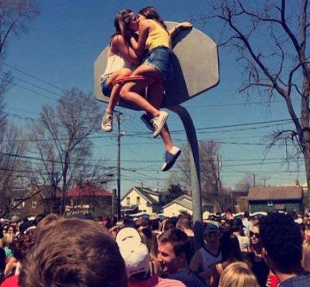 Morning Picdump