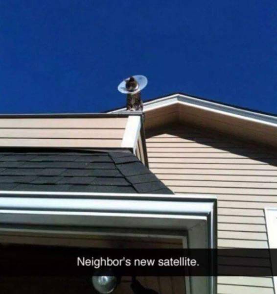 Morning Picdump
