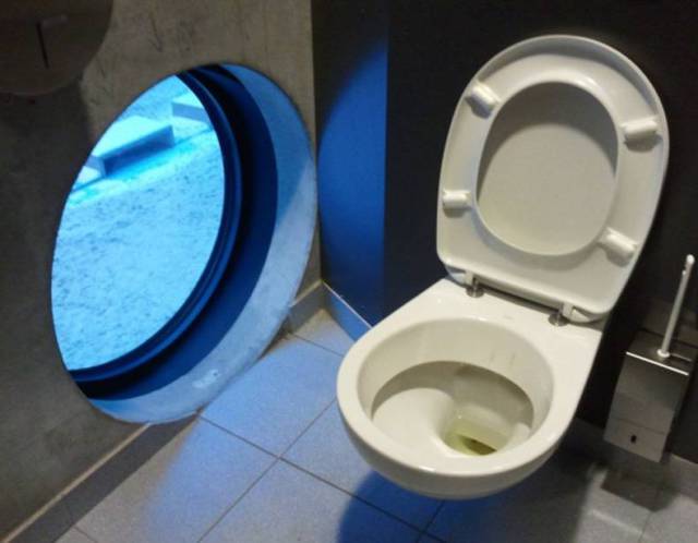Content Image