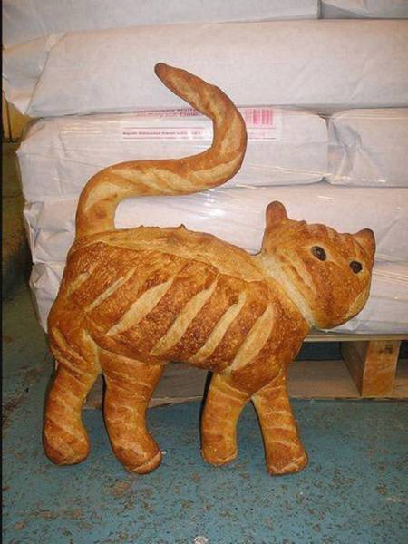 Content Image