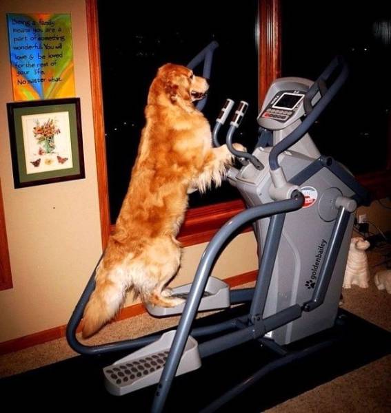 Morning Picdump