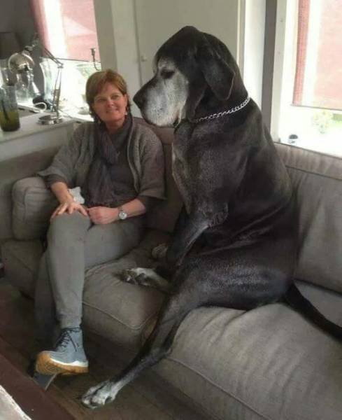Daily Picdump