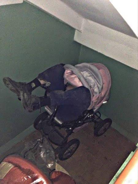 Content Image