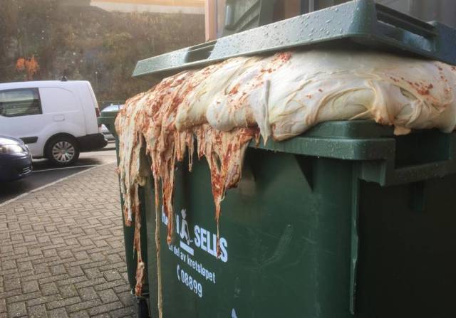 Content Image