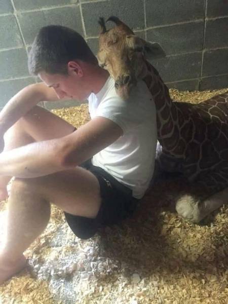 Comfort Is What We All Need
