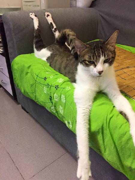 Comfort Is What We All Need