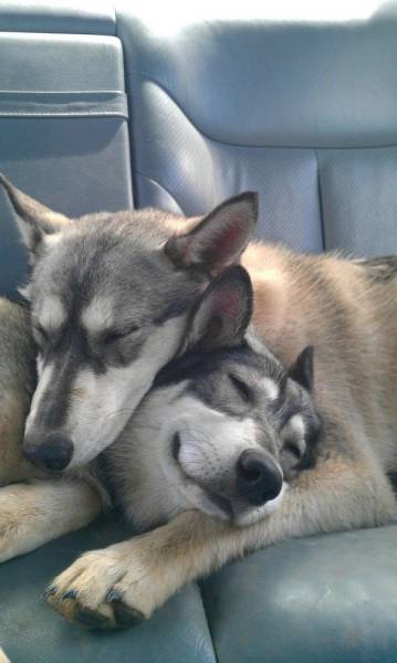 Comfort Is What We All Need