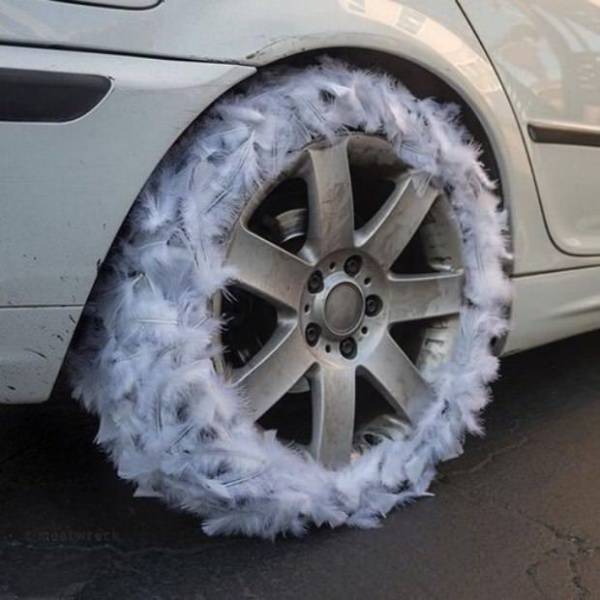 Content Image