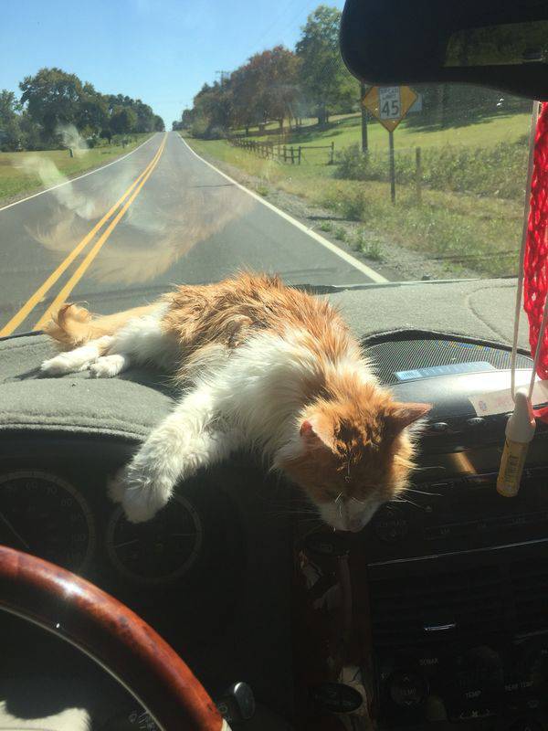 Daily Picdump