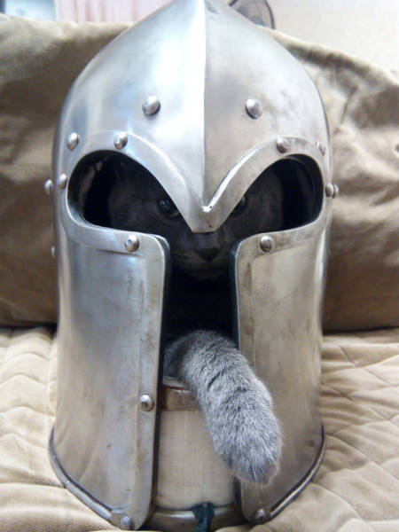 Daily Picdump [WEEKEND EDITION]