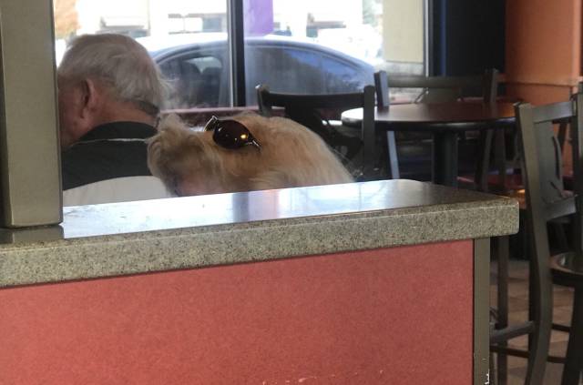 Content Image