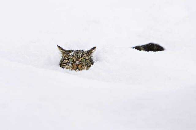 Daily Picdump