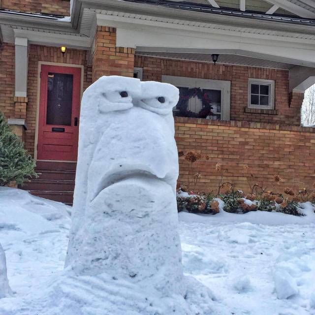 Daily Picdump