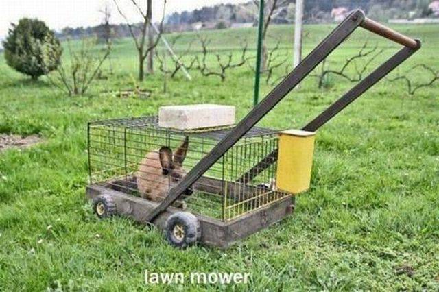 Daily Picdump