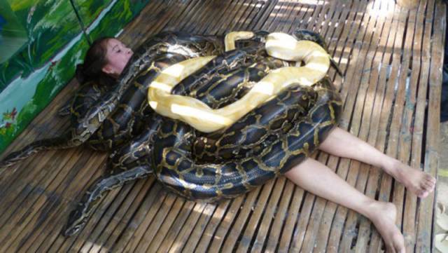 Daily Picdump