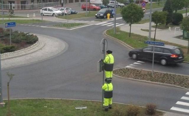 Daily Picdump