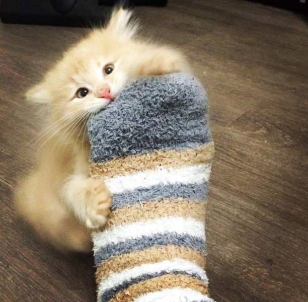 Daily Picdump