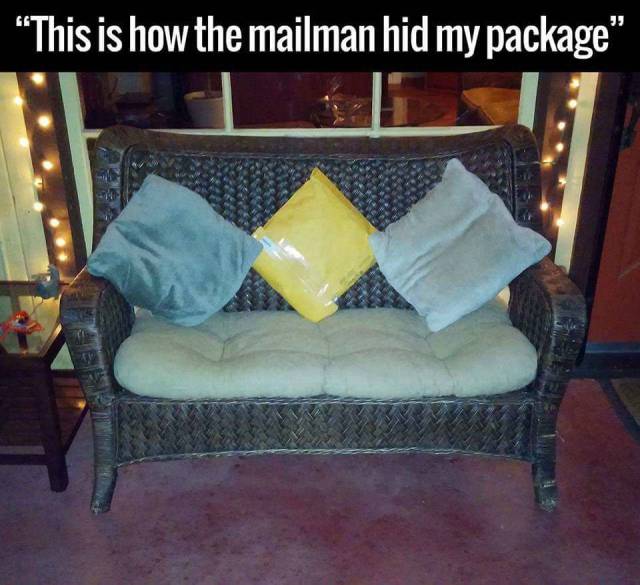 Daily Picdump