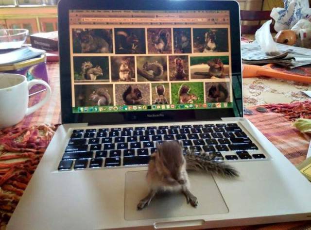 Daily Picdump