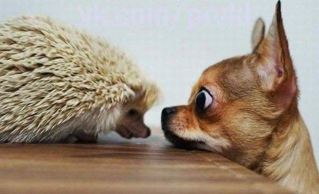 Daily Picdump