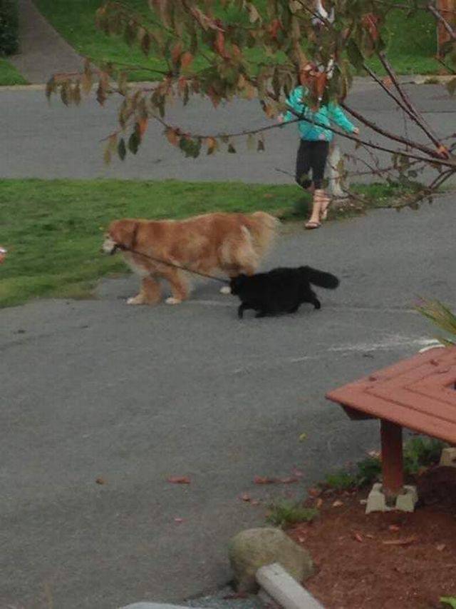 Daily Picdump