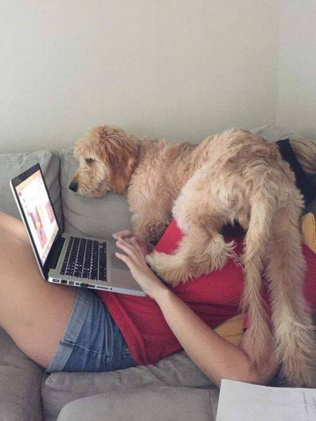 Daily Picdump