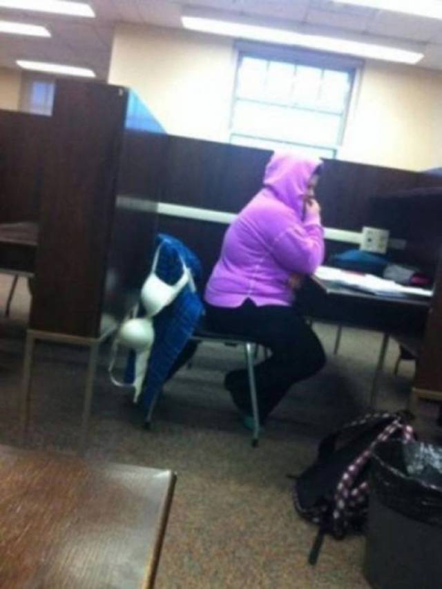 Daily Picdump