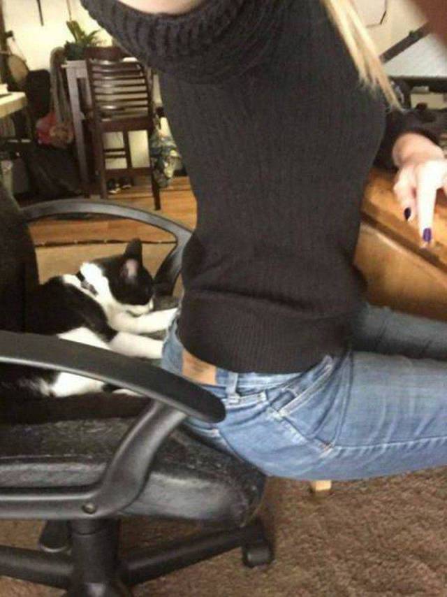 Daily Picdump
