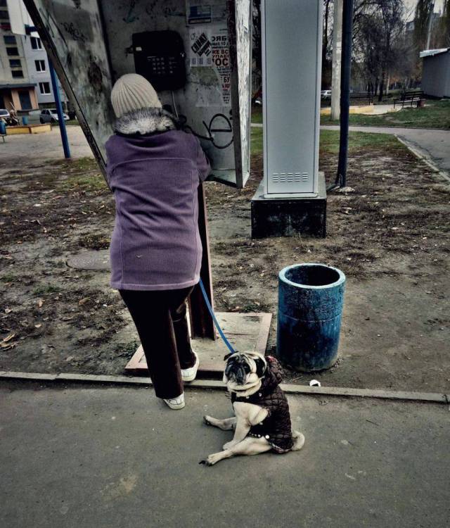 Daily Picdump