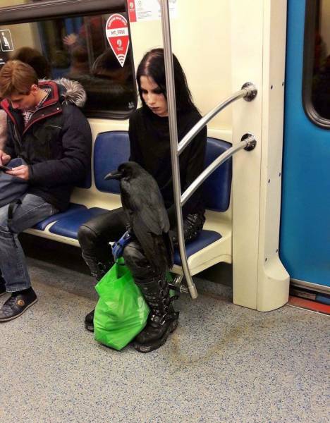 Morning Picdump