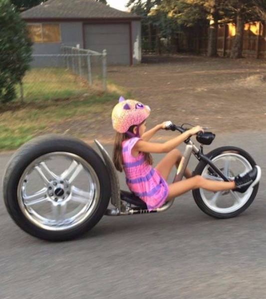 Morning Picdump